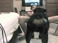 Petite babe got fucked by dog in homemade beastiality porno